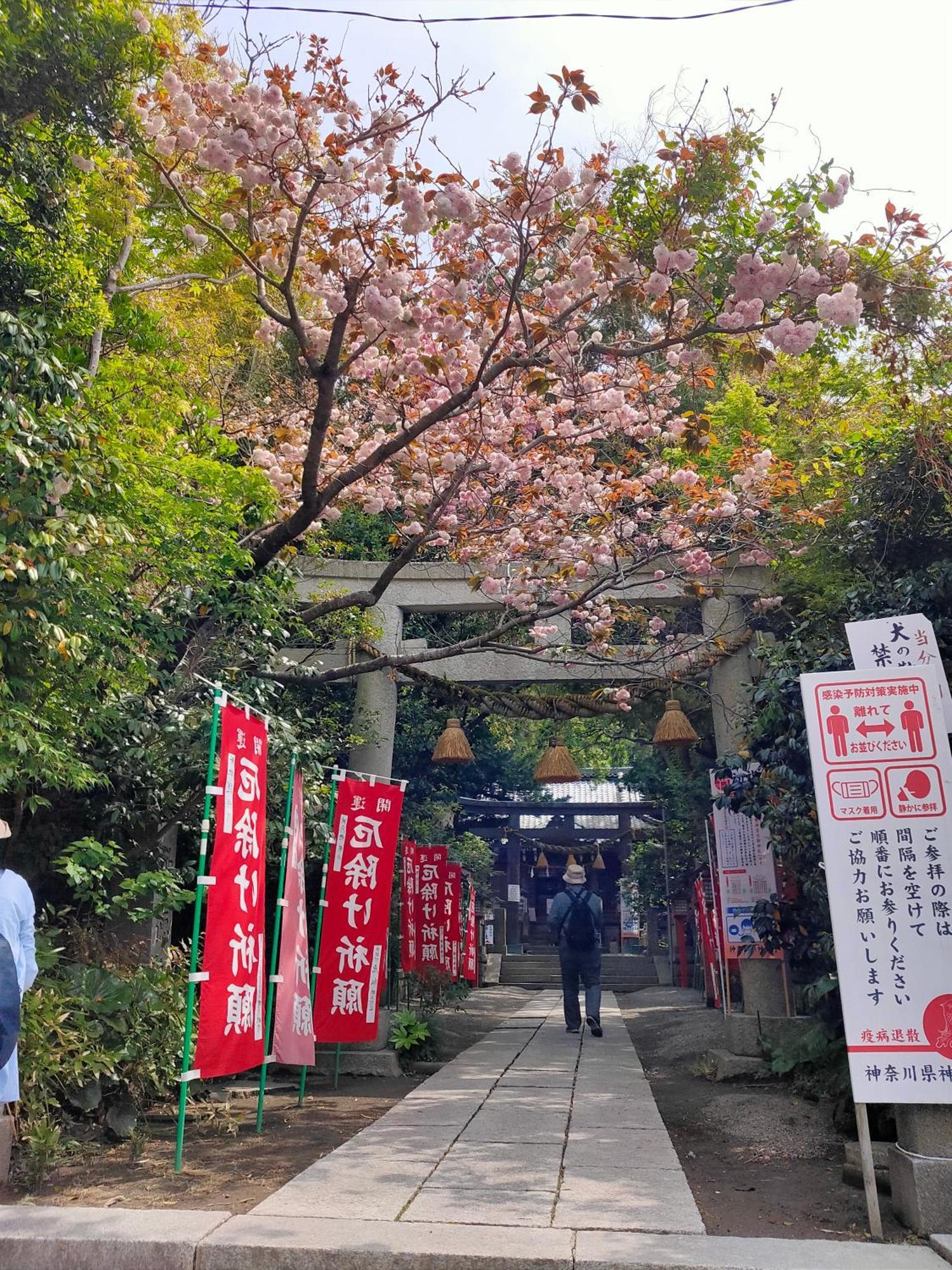 Jiro De *